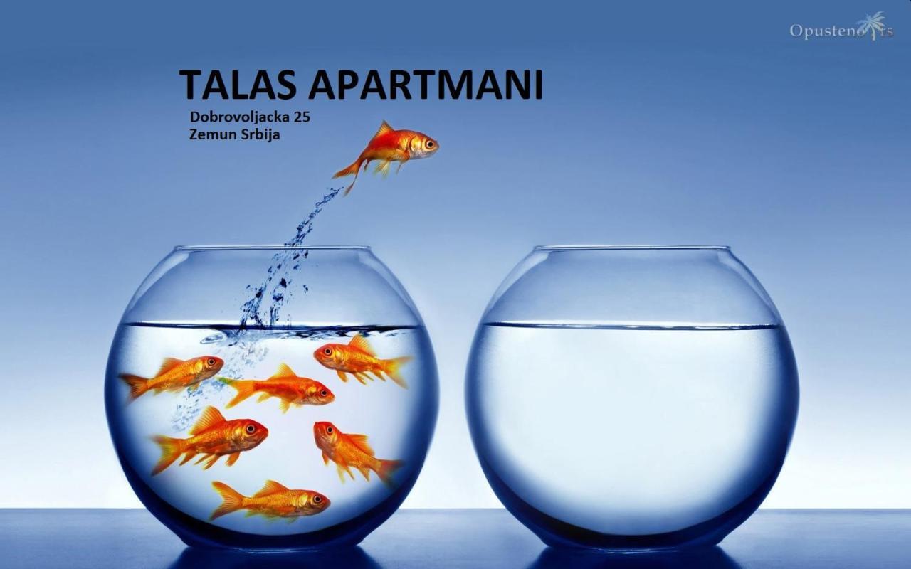 Talas Apartmani Beograd Bagian luar foto